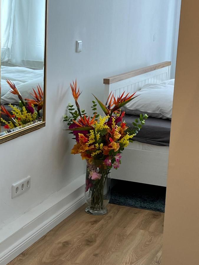 Moderne Wohnung In Der Innenstadt Von Bad Oeynhausen Esterno foto